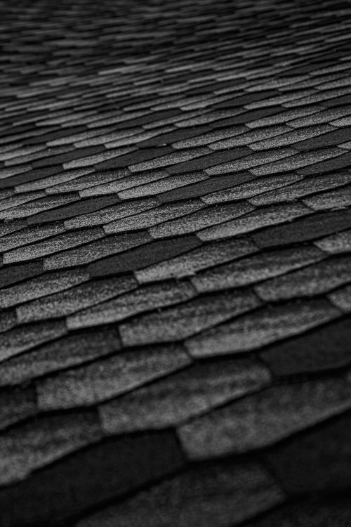 pexels-shotbyrain-4334097-scaled