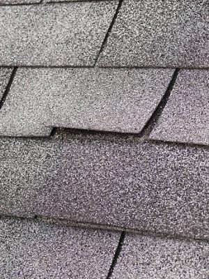 Roof shingle rising due to damaged roof
